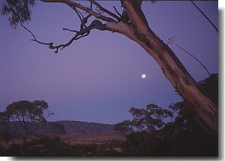 Australia Bicycle Touring Photos Flinders Range Moonrise