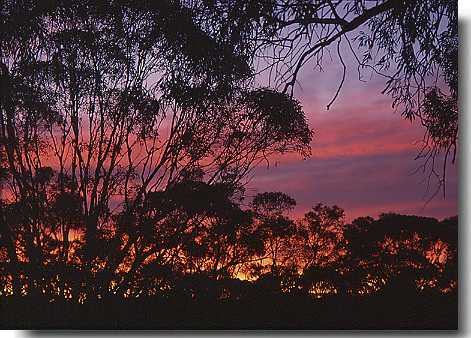 Australia Bicycle Touring Photos Outback Sunset