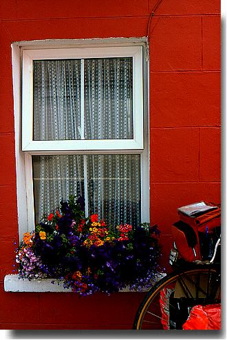 Irish windowbox
