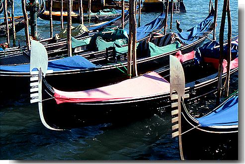 Venice gondolas