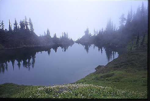 Palmer's Pond fog