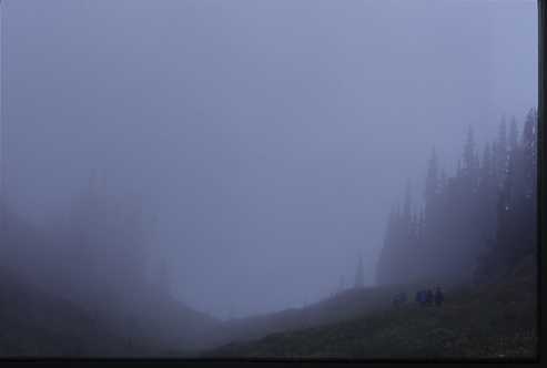 Palmer's Pond foggy hike