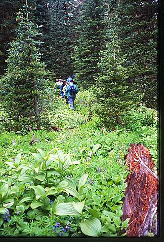 Palmer's Pond Hikers