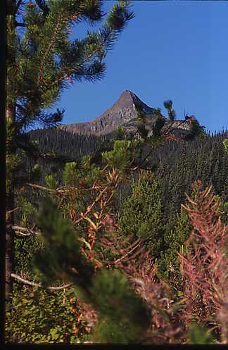 Kelly Peak