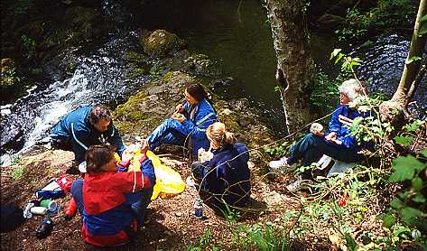 Lunch by stream