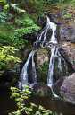 Galloping Goose Rail Trail Victoria BC maretail waterfall
