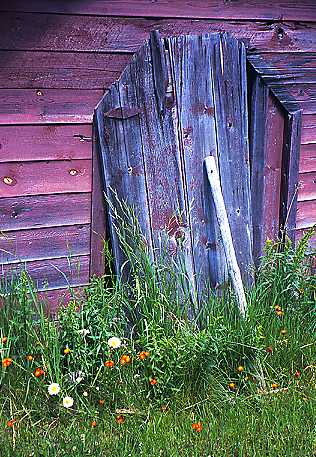 Old Door