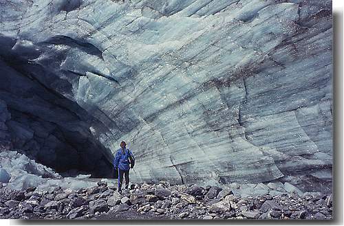 Franz Joseph Glacier.jpg